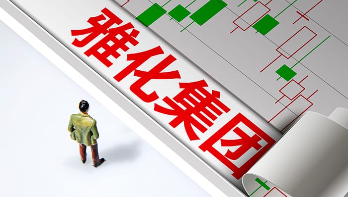 上半年净利预增超8倍；锂盐巨头；雅化集团；一字涨停