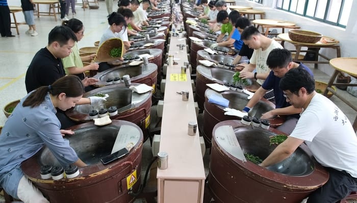 历史经典，消费,国家层面首次;历史经典产业;政策文件;重点;SEO爬虫